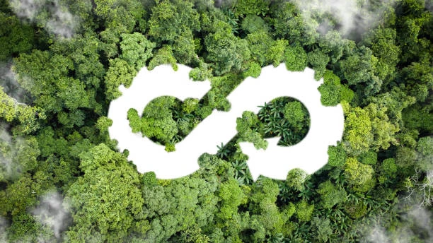 Reciclagem ambiental
